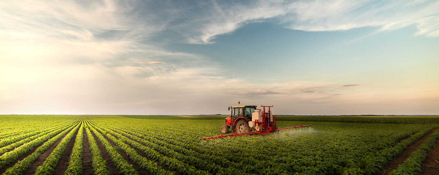 Global Economic Dynamics and the Biosphere
