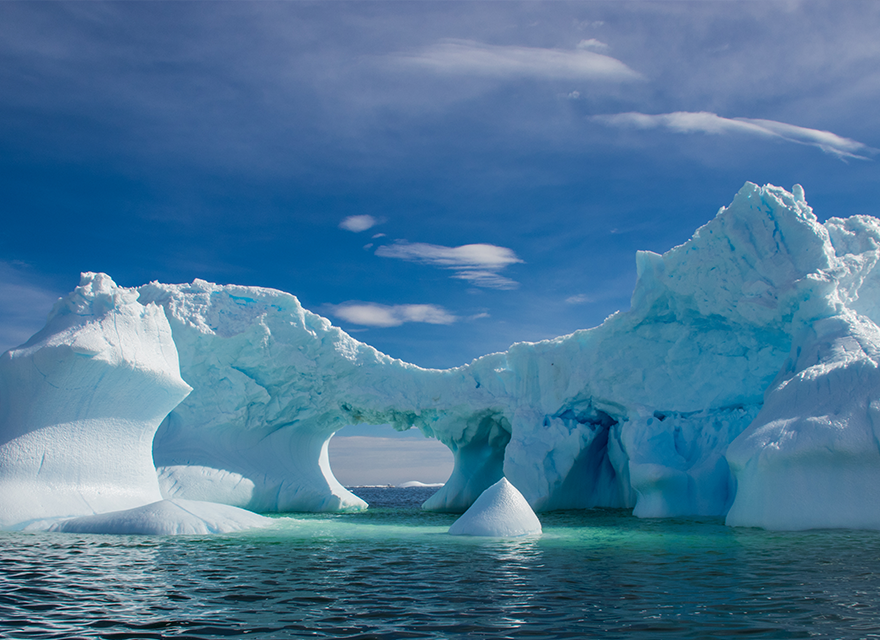 Digitalt symposium om Antarktis ekosystem i ett förändrat klimat