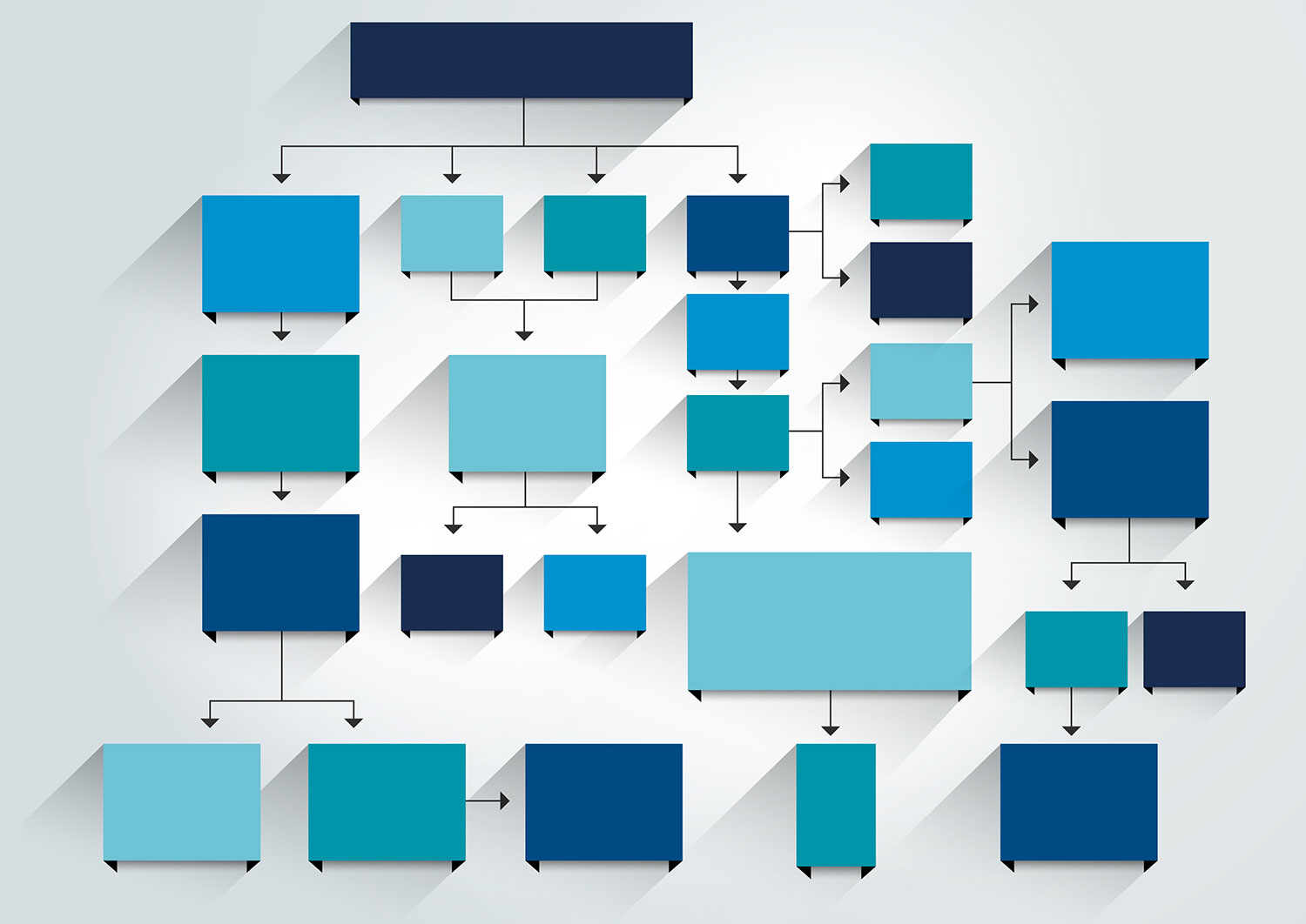 Organisation