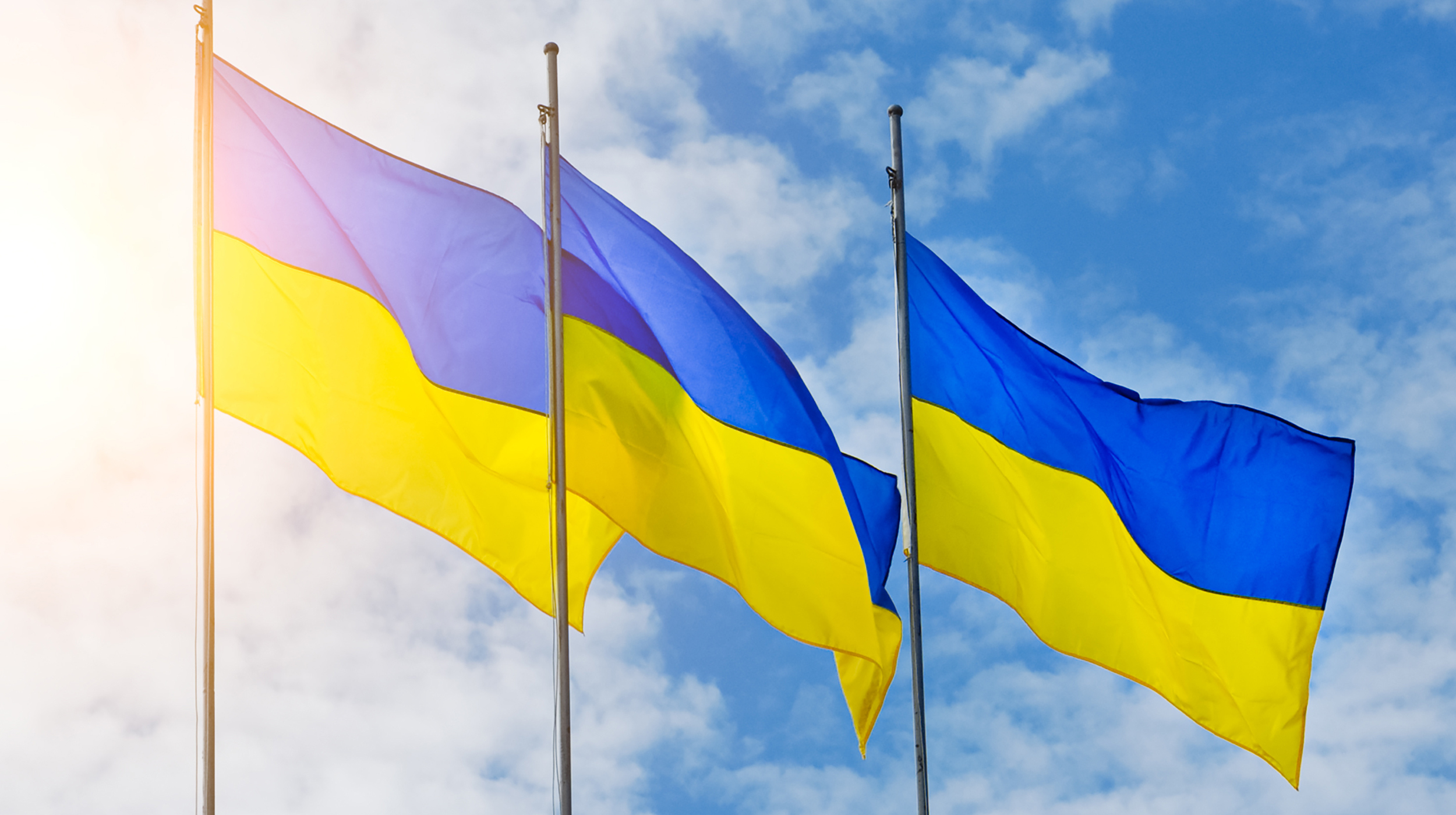 The Academy’s support for Ukraine