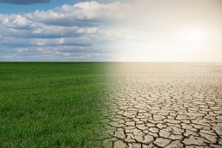 Vetenskapen säger – om klimatet