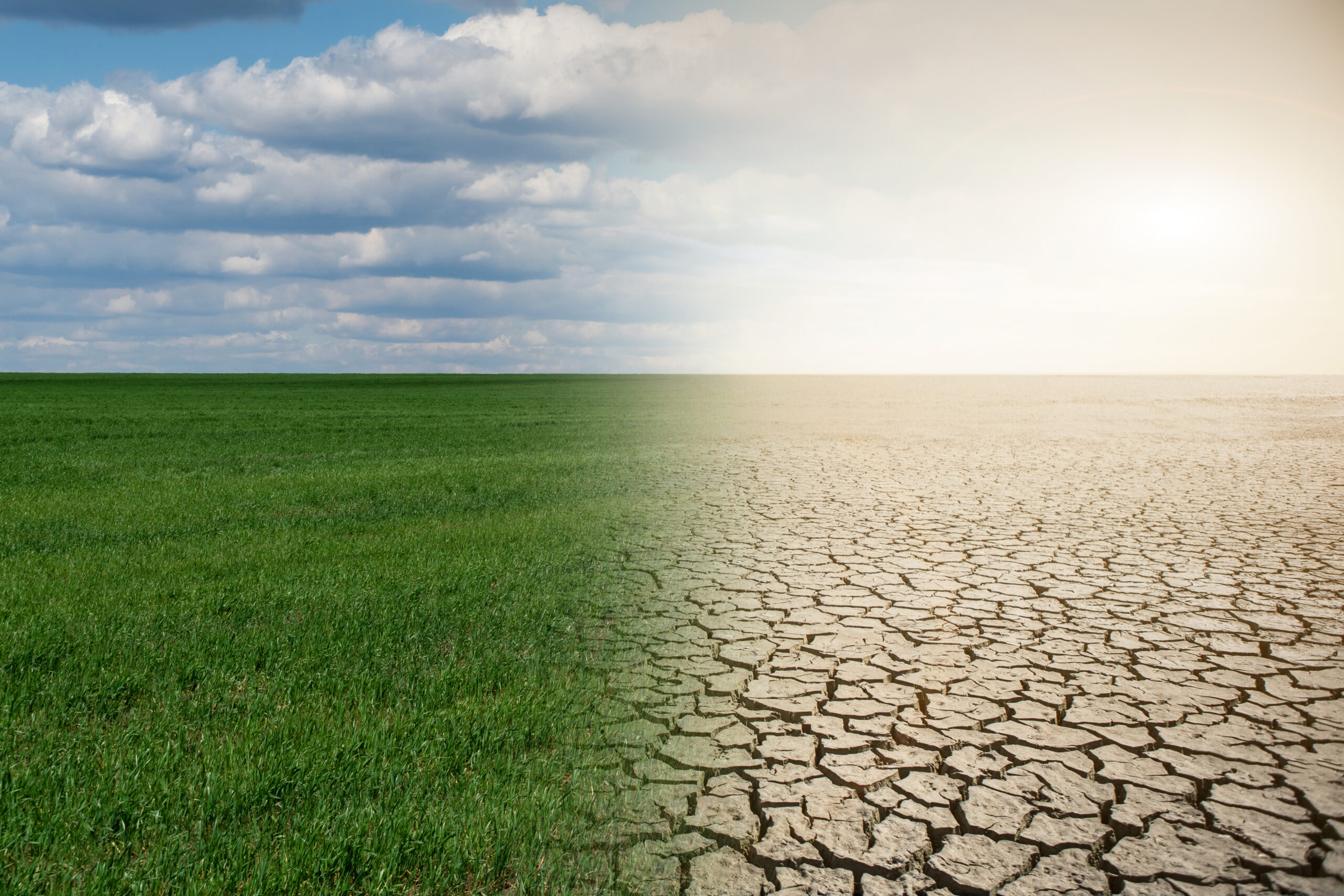 Vetenskapen säger – om klimatet