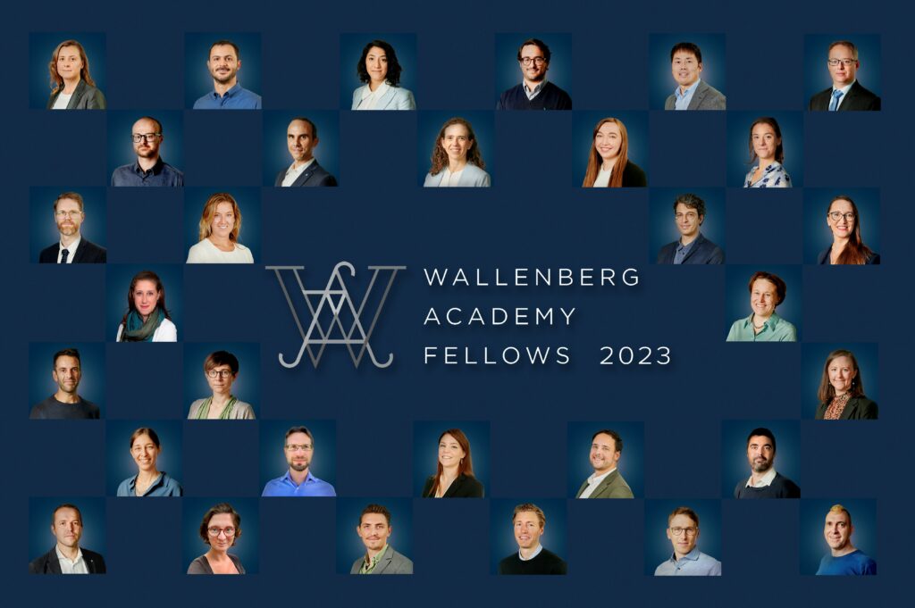 Collage med Wallenberg Academy Fellows 2023