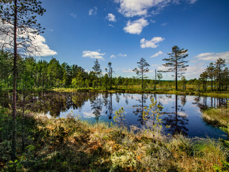 Naturvårdspriset
