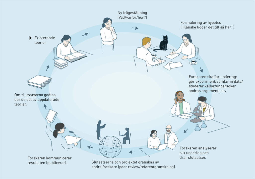 Så här kan det se ut när kunskapen växer fram. Illustration: Johan Jarnestad